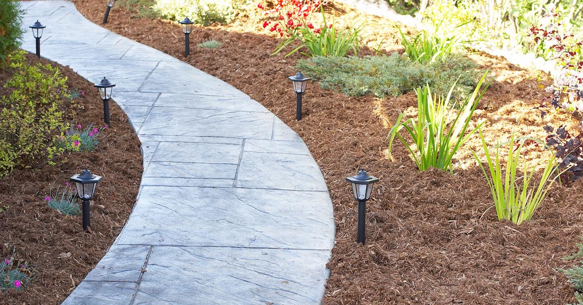 Garden path, framed with mulch