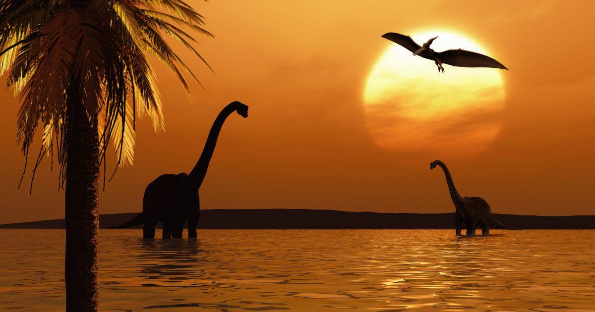 pn/ae e cca aedf ebf