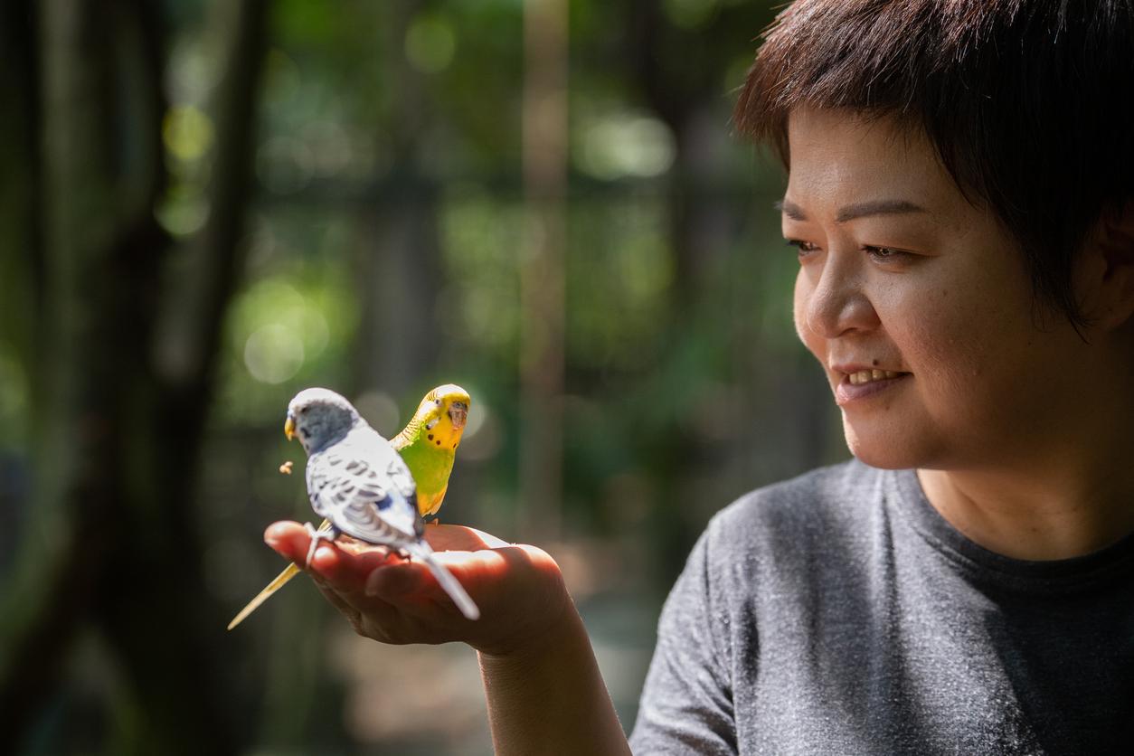 A smiling woman looks at two parakeets sitting in her hand.