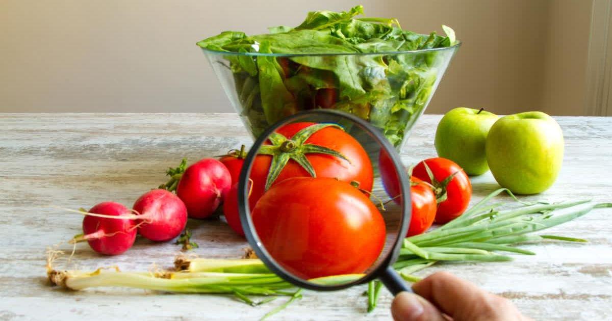 A person holding a magnifying glass to analyze fresh vegetables for pesticides. (Representative Cover Image Source: Getty Images | Conejota)