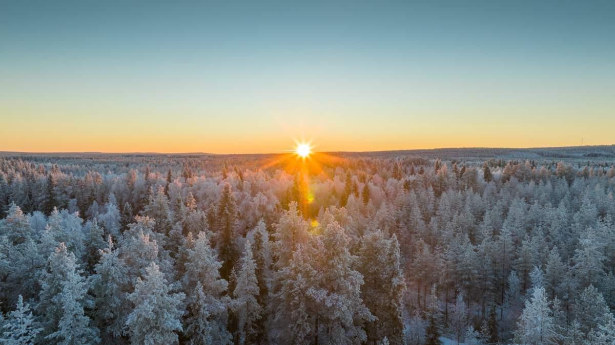 pn/cbeb cd  bf dedbc