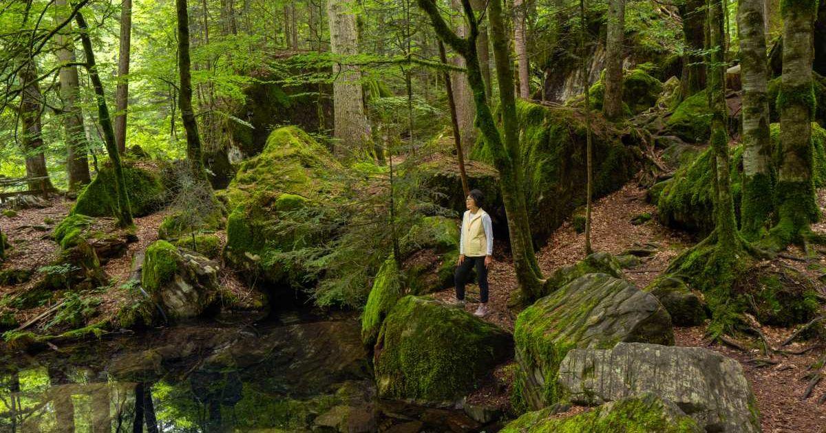 Woman standing at the edge of a lake in a forest (Representative Cover Image Source: Getty Images | NYCShooter)