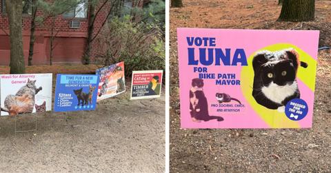 Signs for a new cat mayor appear along a bike path