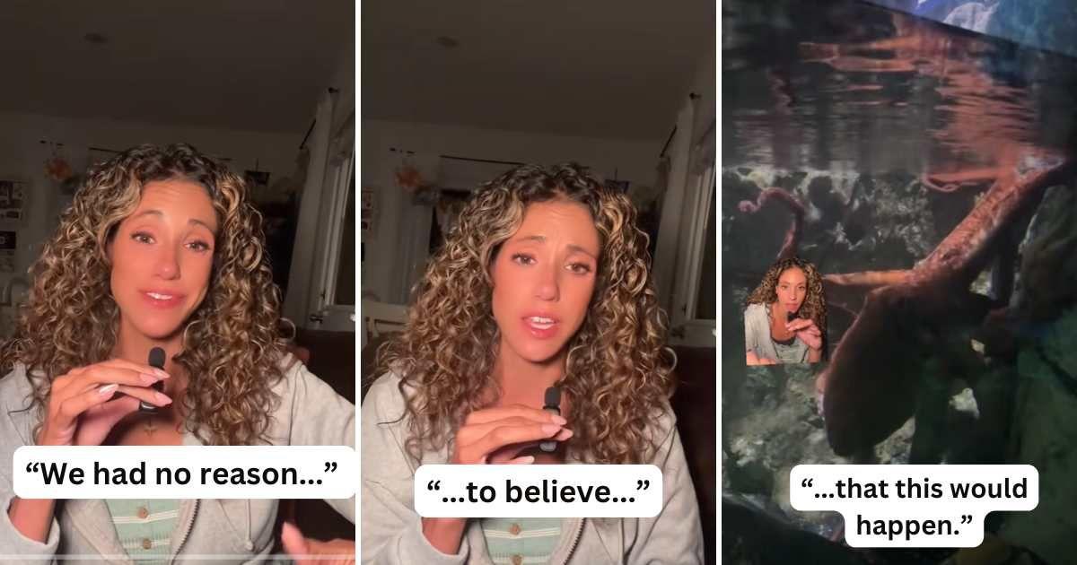 Mom shares how a Giant Pacific Octopus latched onto her 6-year-old boy's arm and gave him bruises (Cover Image Source: TikTok | @britneytaryn)