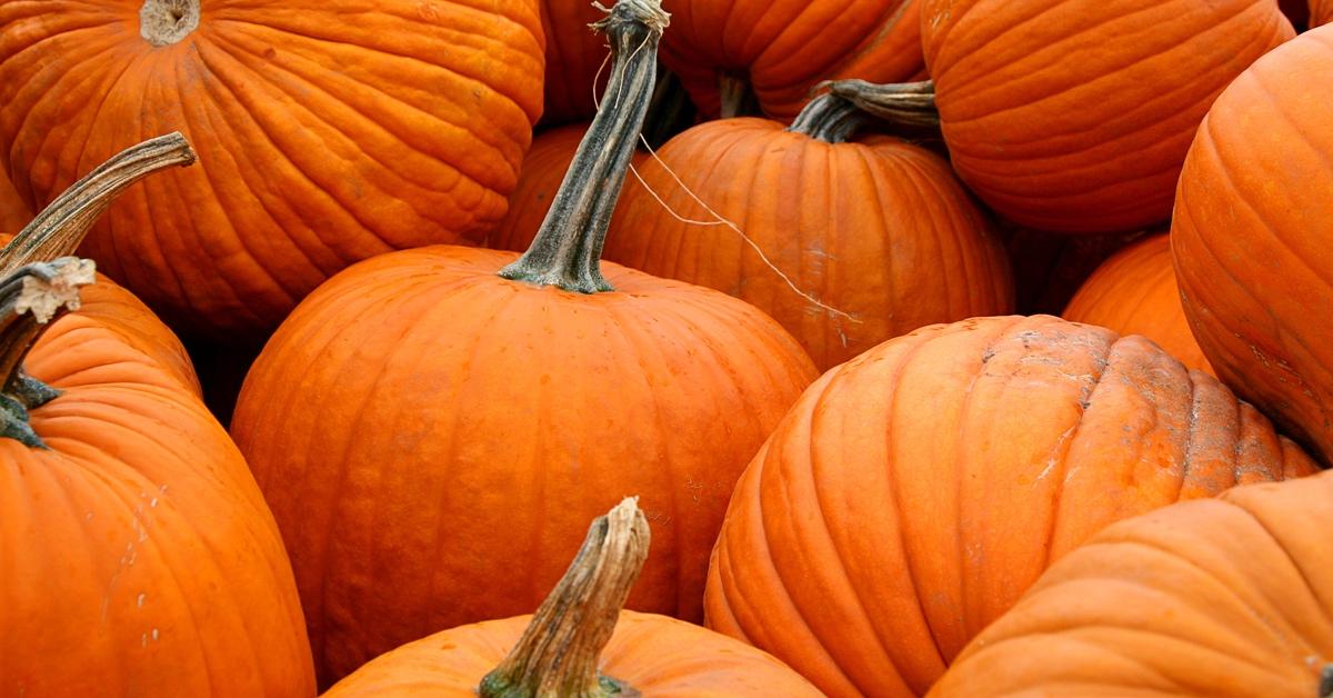 A pile of pumpkins in a patch