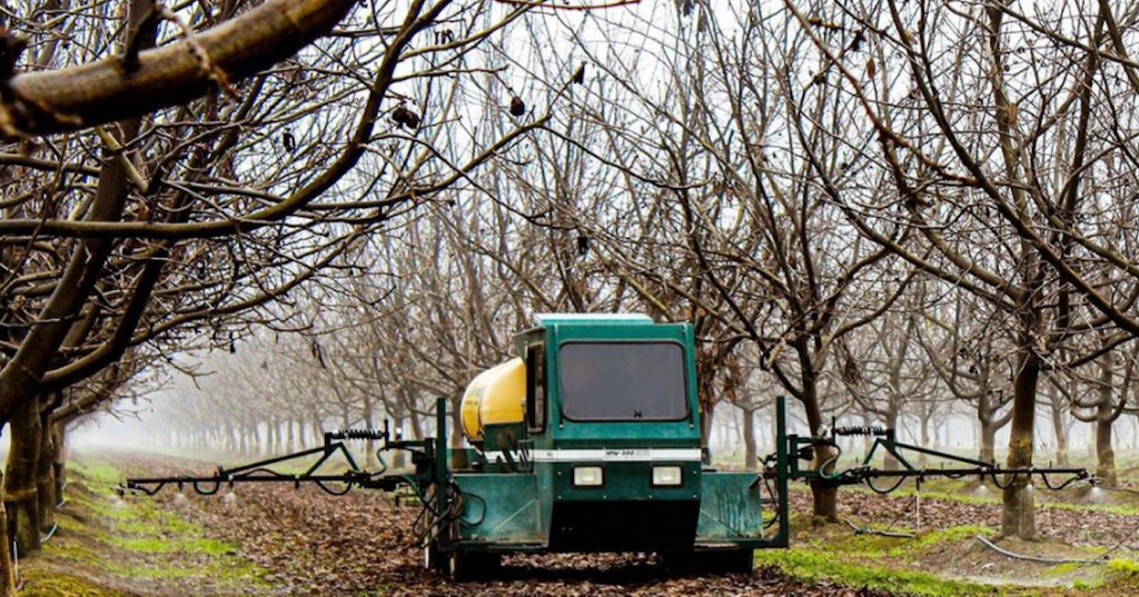 Is Roundup Safe for a Vegetable Garden? What You Need to Know