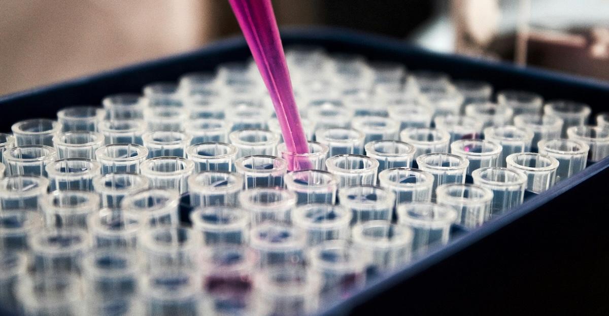 stem cell research