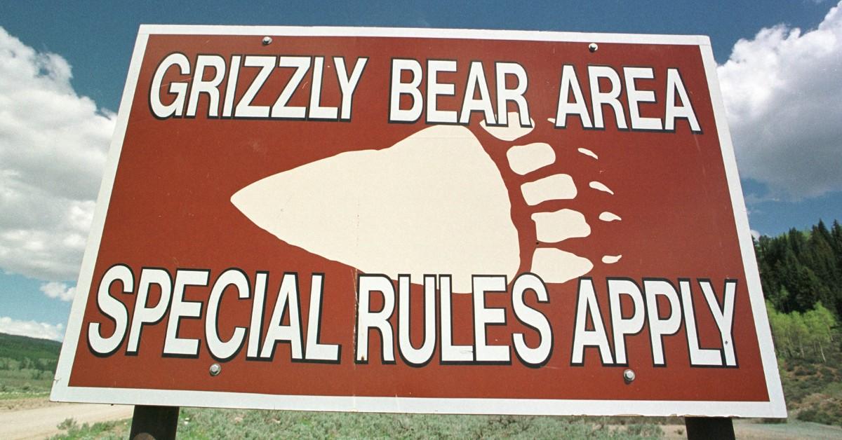 Sign reads grizzly bear area special  rules apply