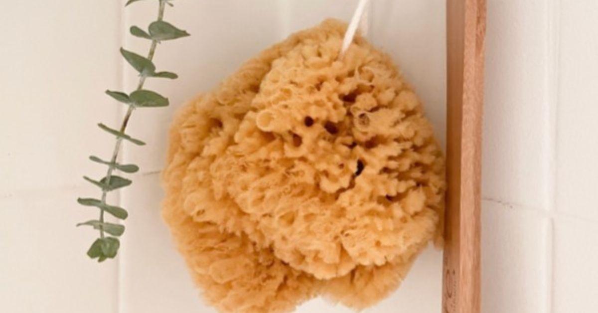 An eco-friendly loofah from Plastic Free