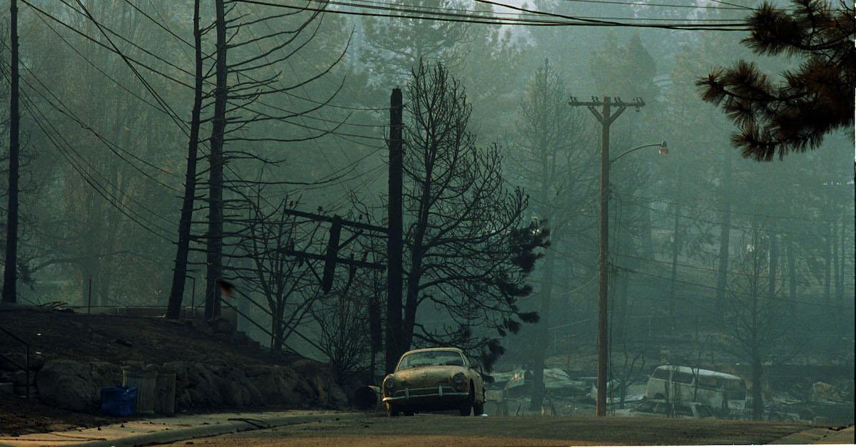 The Wildfires in New Mexico Are Putting Ecosystems and Lives at Risk