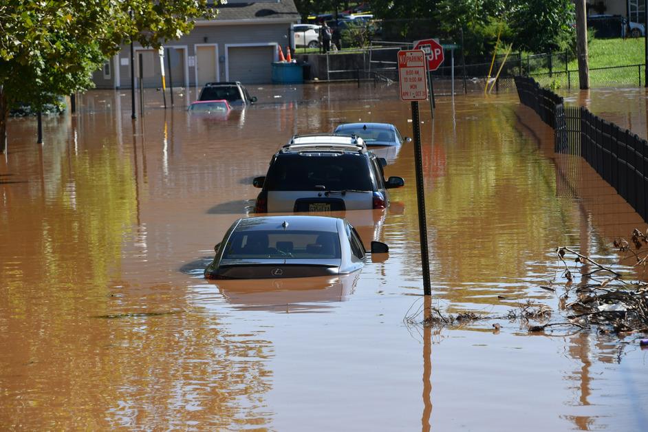 A stock photo of a street that has flooded with five submerged cars and natural debris floating in the floodwater. 