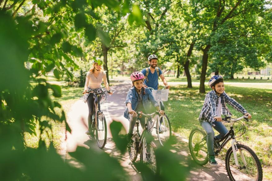 A family of four rides bicycles together through the park.