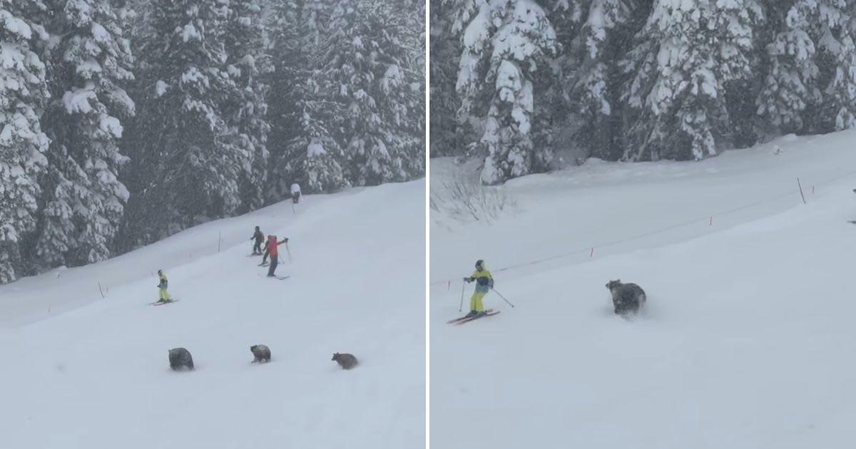 pn/fe cbcf f bf aaaadad