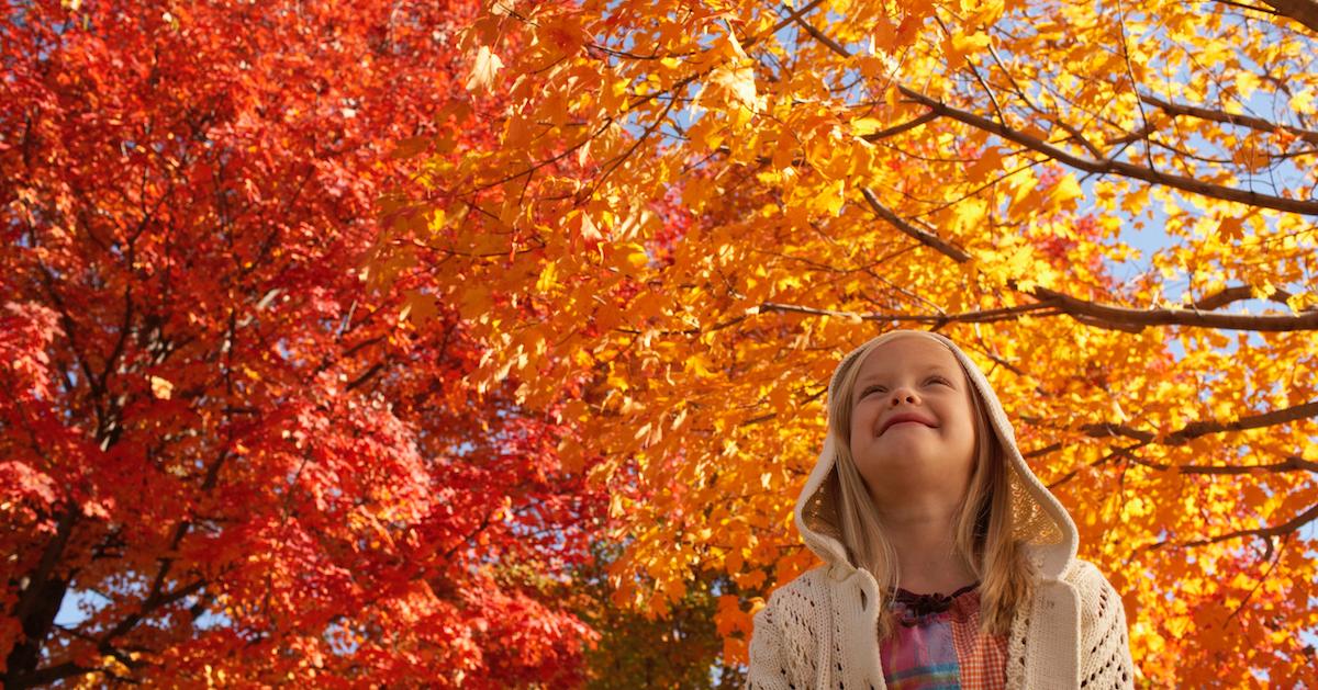 Leaf Peeping