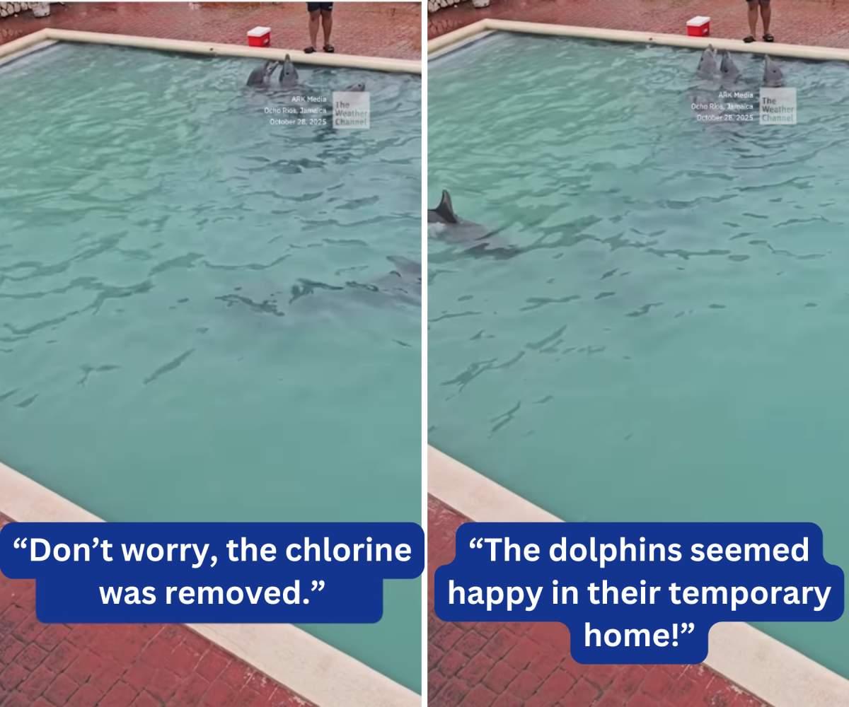 pn/afdada be cb ba daa