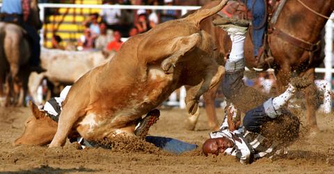 Rodeo Animal Abuse