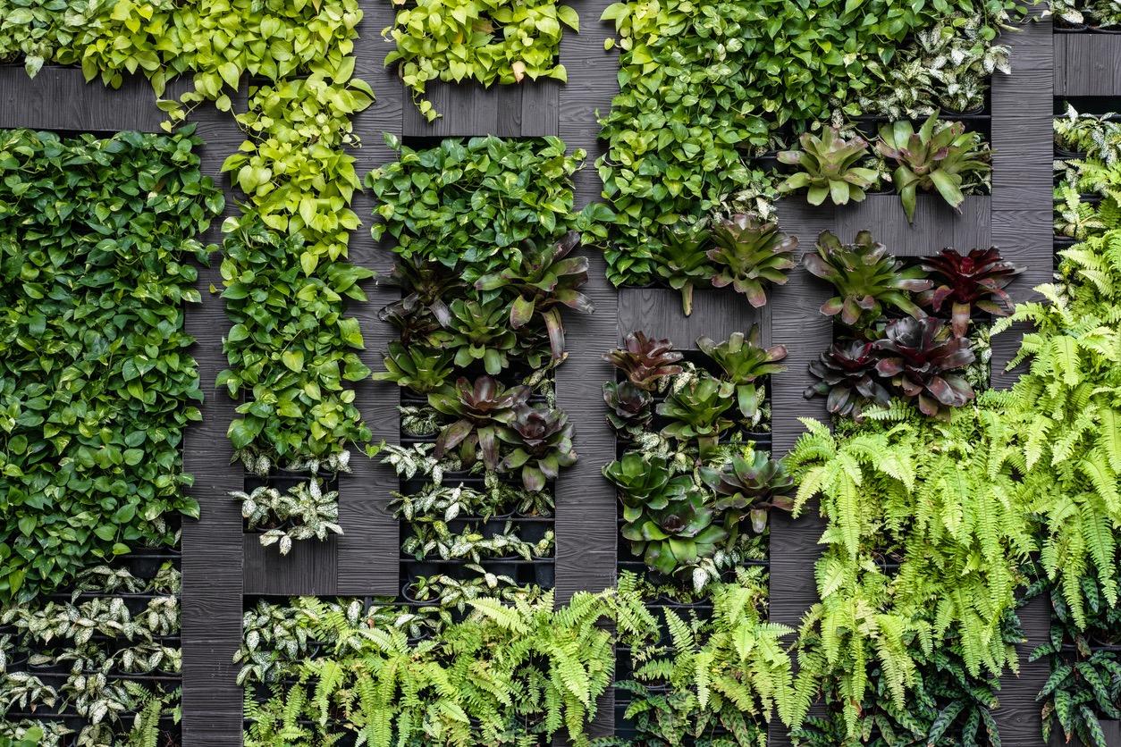 Privacy wall planters