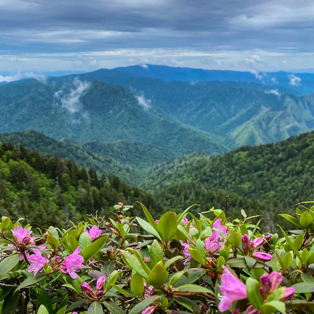 The Great Smoky Mountains National Park in Sevier County, Tennessee