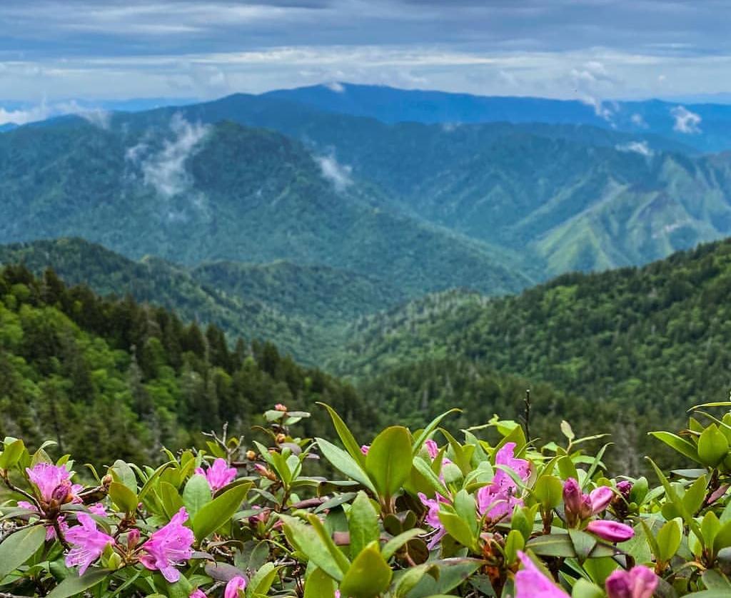 The Best Hikes In Great Smoky Mountain National Park   The Great Smoky Mountains National Park 1684131228922 