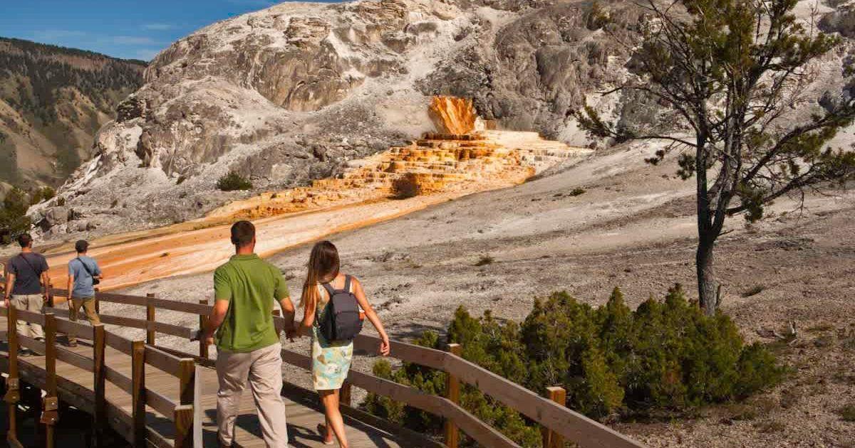 Mammoth Hot Springs at Yellowstone National Park (Representative Cover Image Source: Getty Images | Danny Lehman)