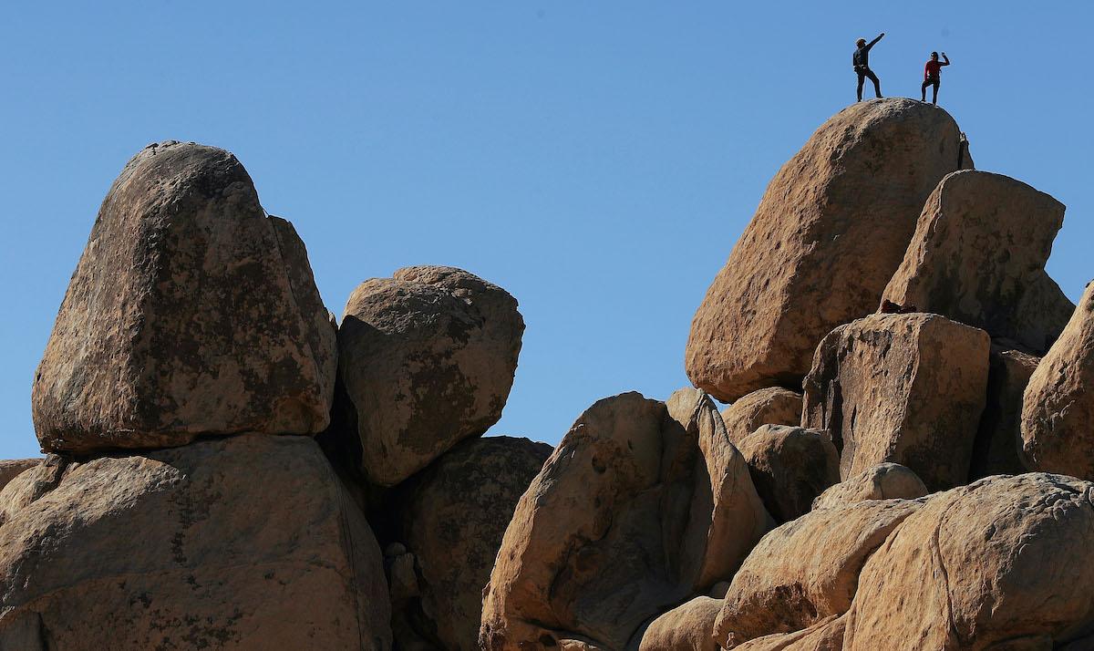 joshua tree land conservation