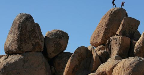 joshua tree land conservation