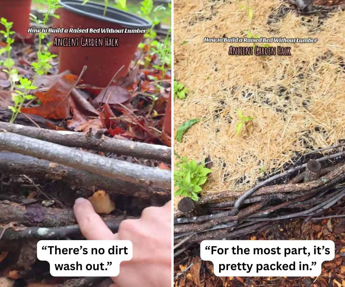 pn/bbee d f bcc efadebd