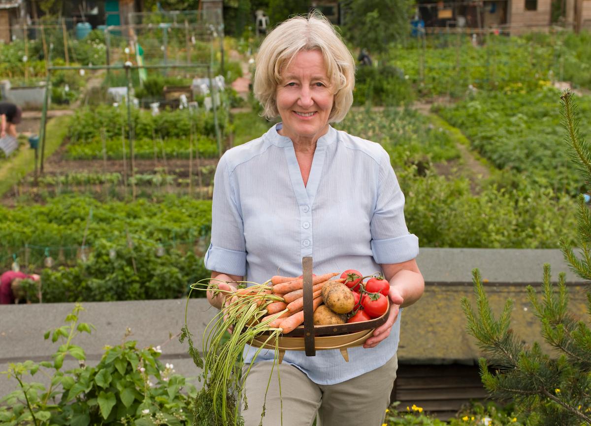 How to Prepare Compost for Gardening