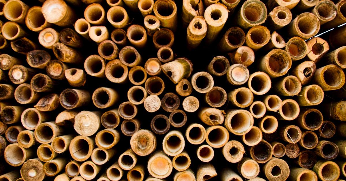 What are the Most EcoFriendly Building Materials?