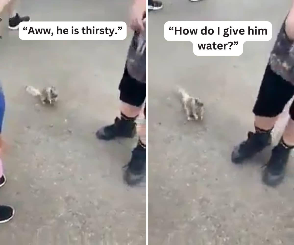 pn/afdbf cc e d cffa