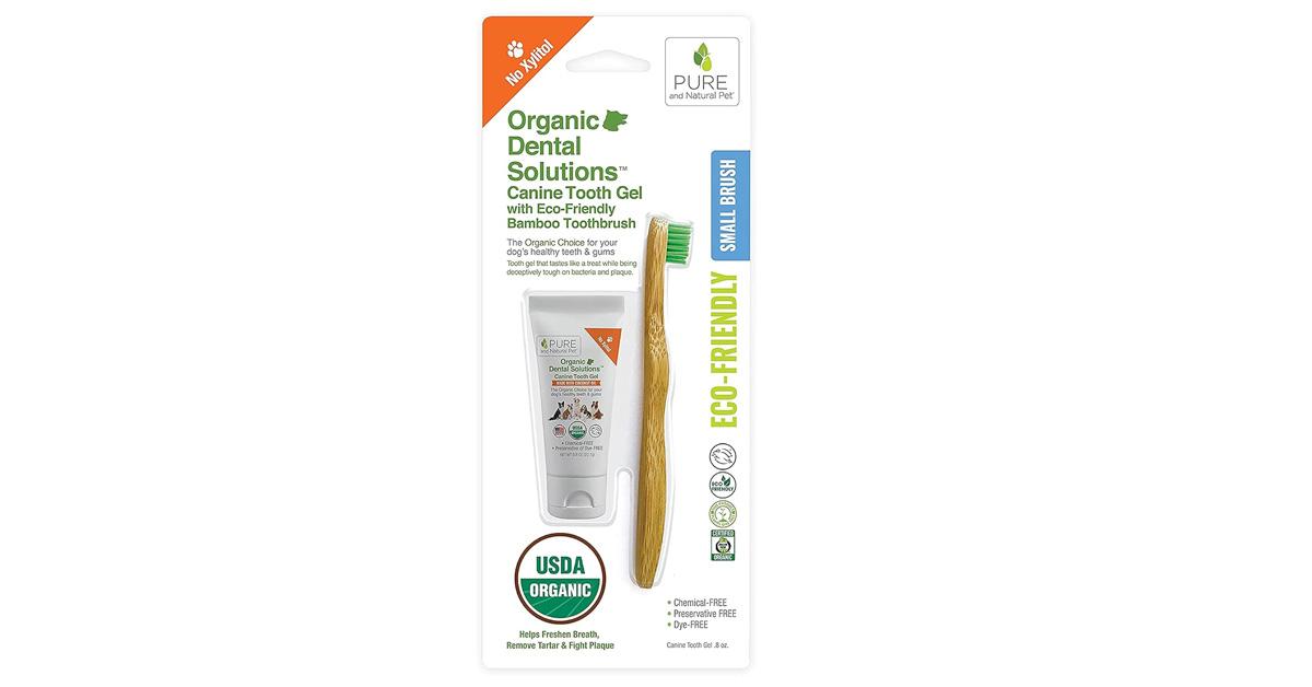 bamboo toothbrush and tube of dog toothpaste