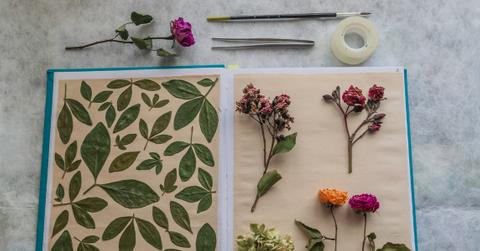 Pressed Flowers Springtime Crafts