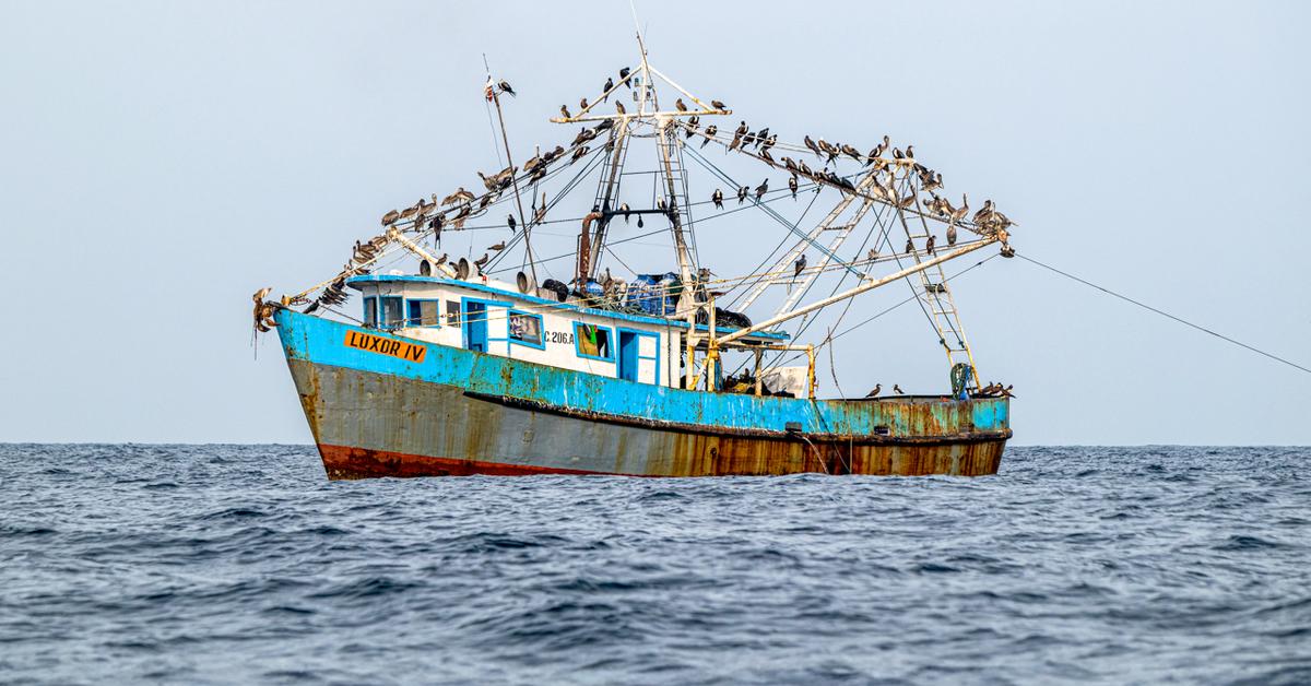 Vital Ocean Upwelling in Gulf of Panama Failed for First Time Ever — What Happens Now?