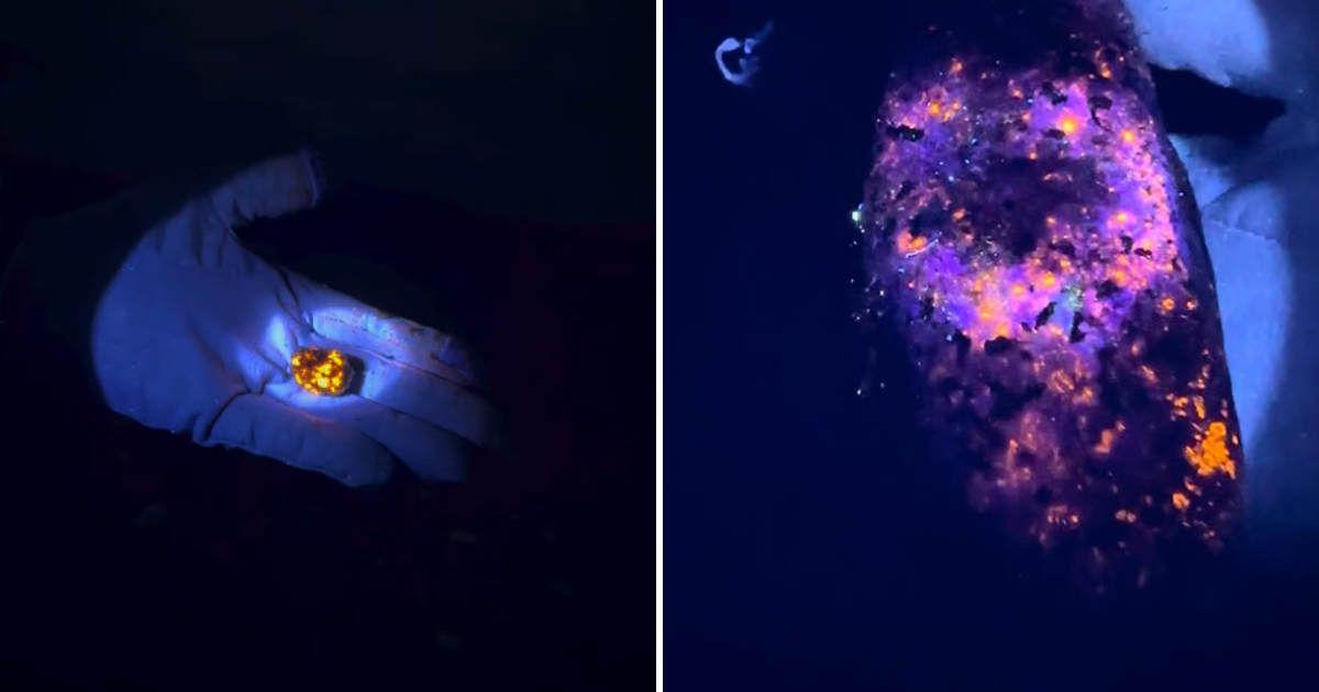 A couple combs Michigan's beaches to collect Yooperlite, a rock that glows in the dark (Cover Image Source: Instagram | @greatlakesrockhounds)