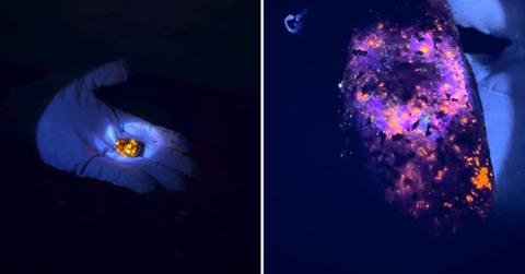 A couple combs Michigan's beaches to collect Yooperlite, a rock that glows in the dark (Cover Image Source: Instagram | @greatlakesrockhounds)