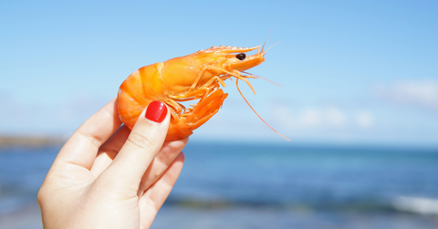 A woman wearing red nail polish holds up a shrimp in the ocean