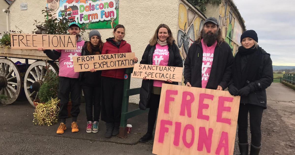 Five people holding signs demanding to free Fiona