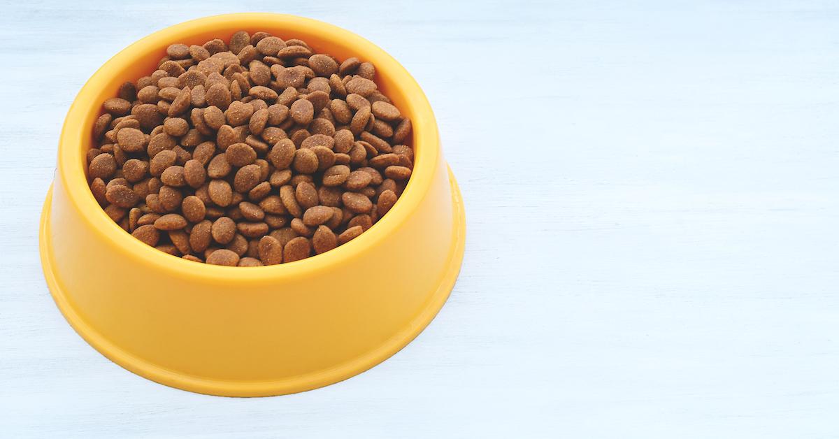 PFAS Were Detected in Dog Food Bags so Pet Parents Beware