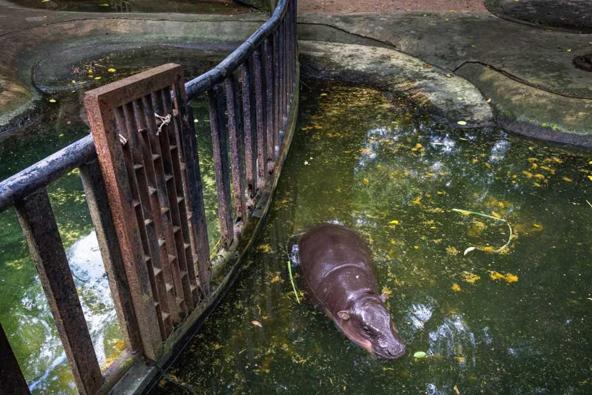 pn/dea ba b adc fcec