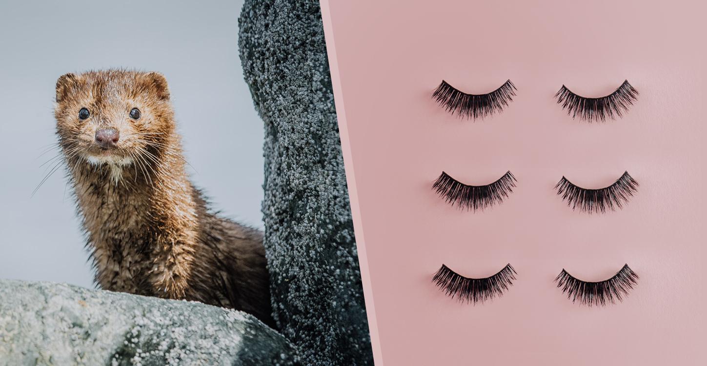 Sephora Bans Mink Fur Eyelashes Will Only Sell Animal Free Lashes