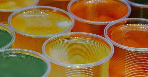 A line of brightly colored Jell-O cups in green, yellow, and orange