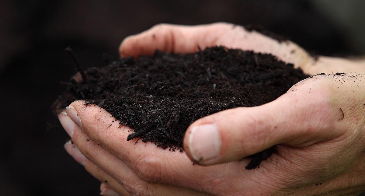 Man holding compost