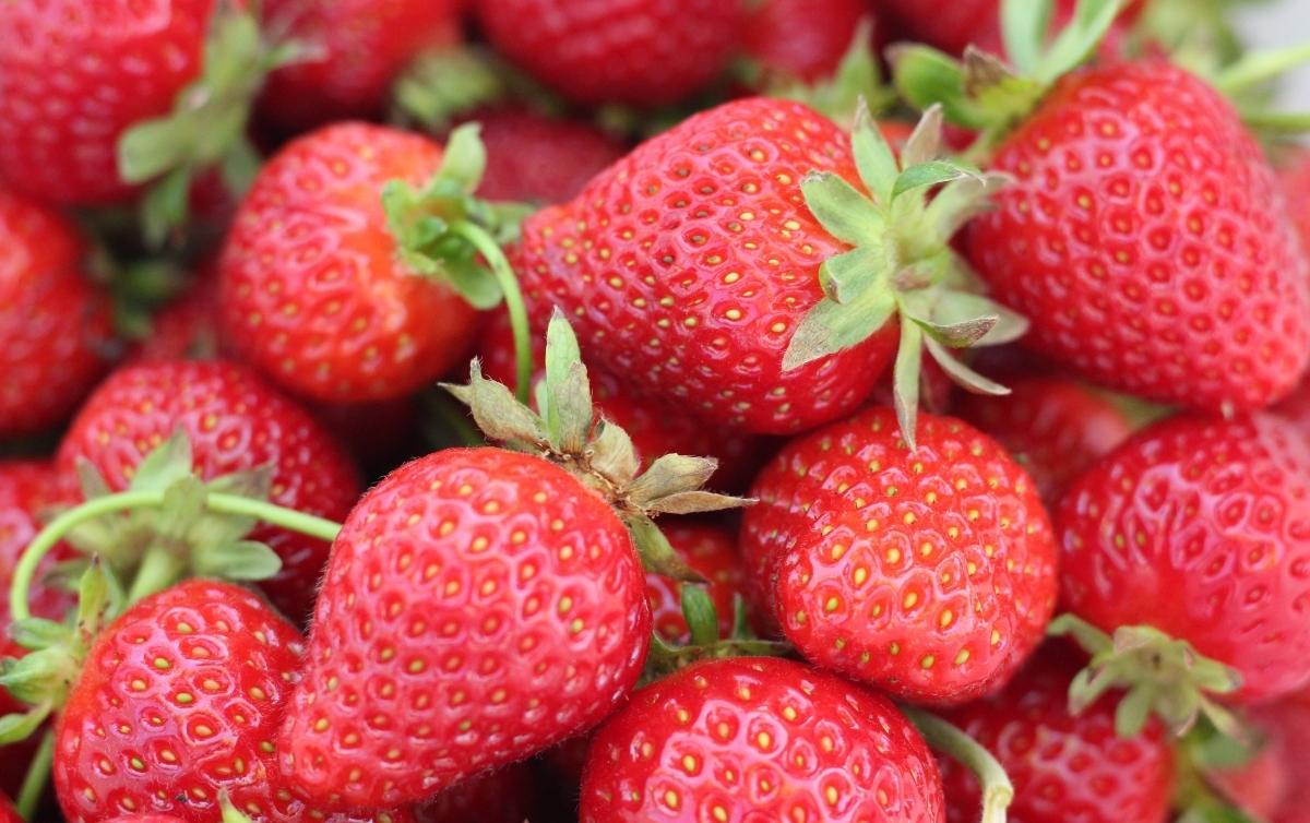 Beware of Recalled Strawberries When Checking Your Freezer