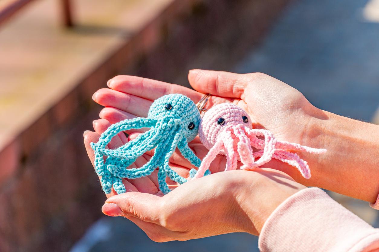 Person outside holding one pink and one bluesmall crochet amigurumi octopus in their hands.