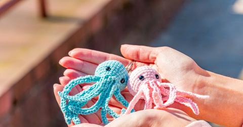 Person outside holding one pink and one bluesmall crochet amigurumi octopus in their hands.