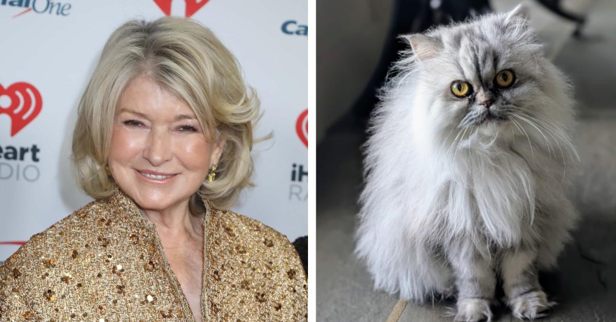 Martha Stewart and her new cat Magnolia