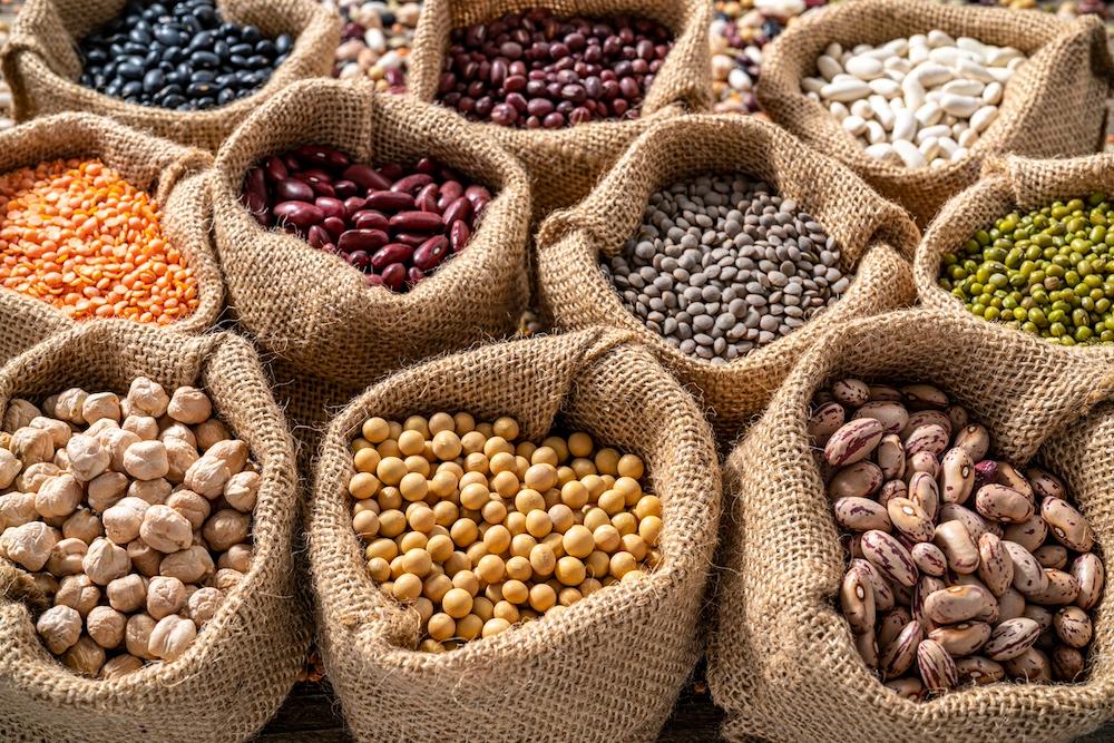 Various kinds of legumes in burlap sacks.