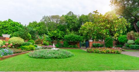 Eco-Friendly Yard Care