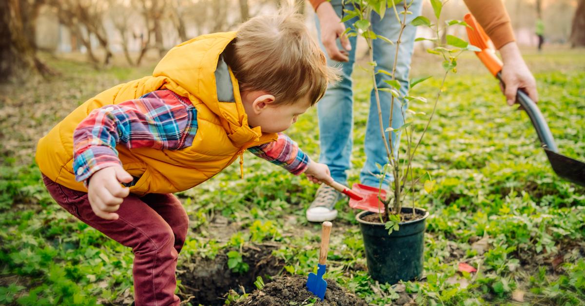 People for Trees: Celebrating Arbor Day with Holden Forests & Gardens