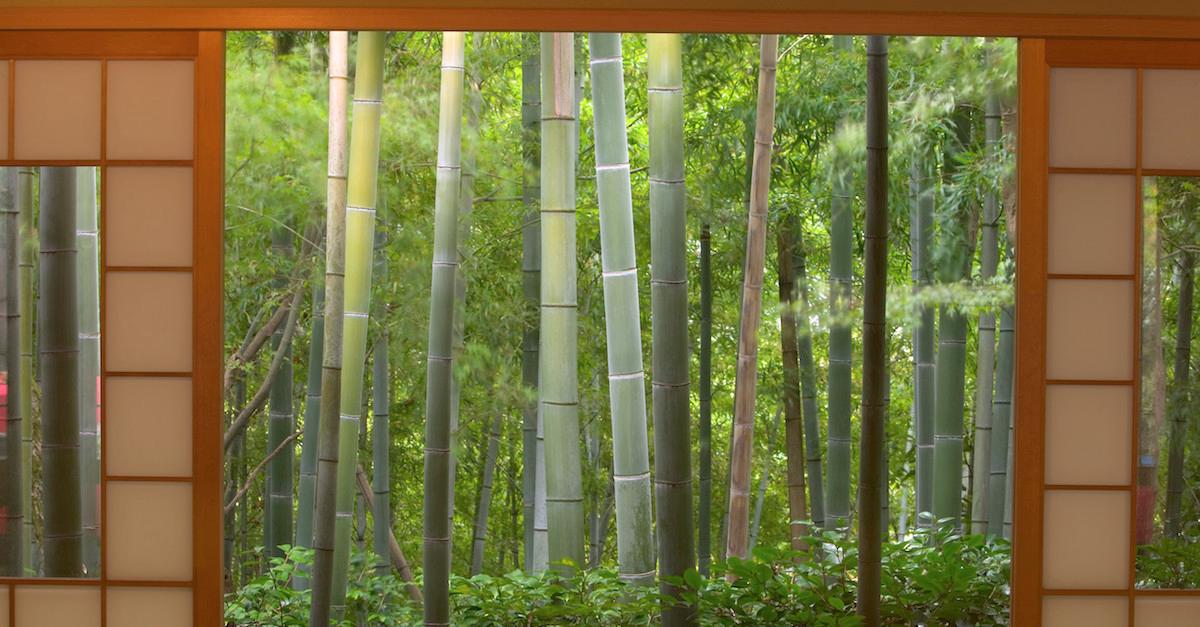 why is bamboo sustainable